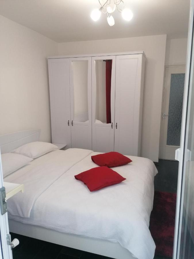 Apartament Racadau 布拉索夫 外观 照片