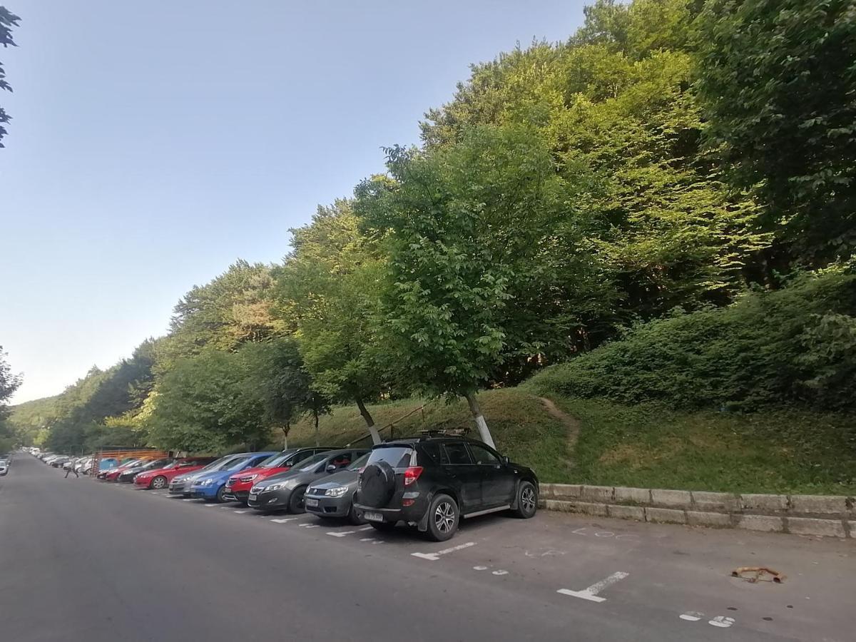 Apartament Racadau 布拉索夫 外观 照片