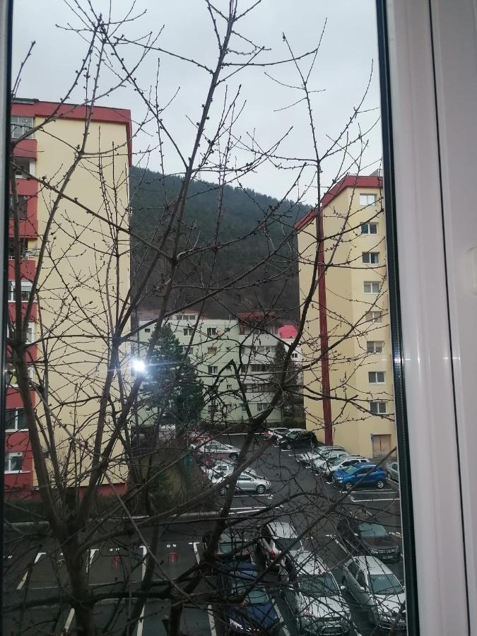 Apartament Racadau 布拉索夫 外观 照片