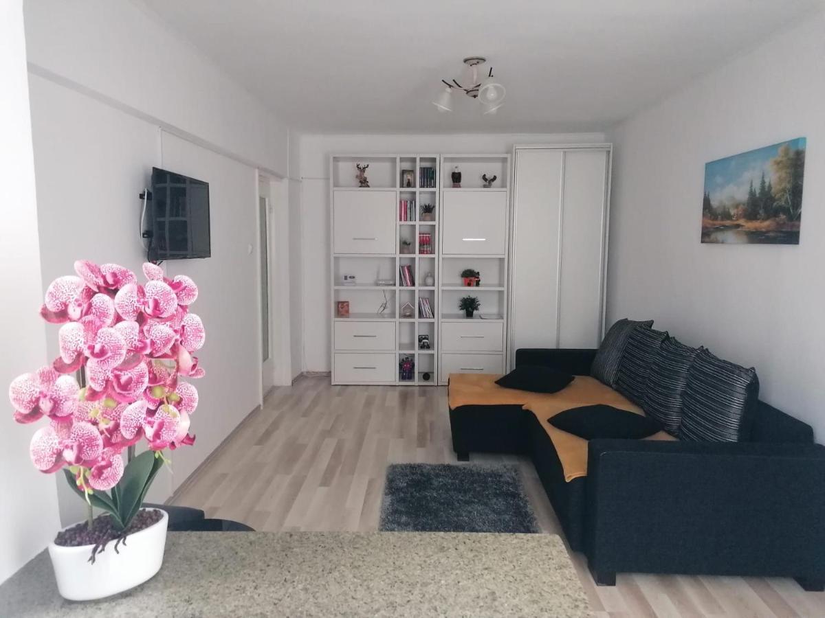 Apartament Racadau 布拉索夫 外观 照片